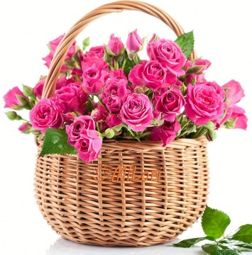 pink_roses-4534_milori